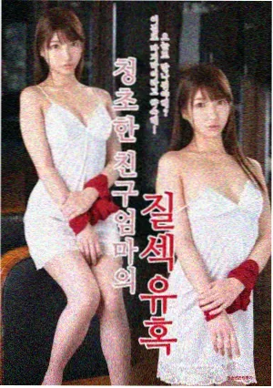 第七码头封面